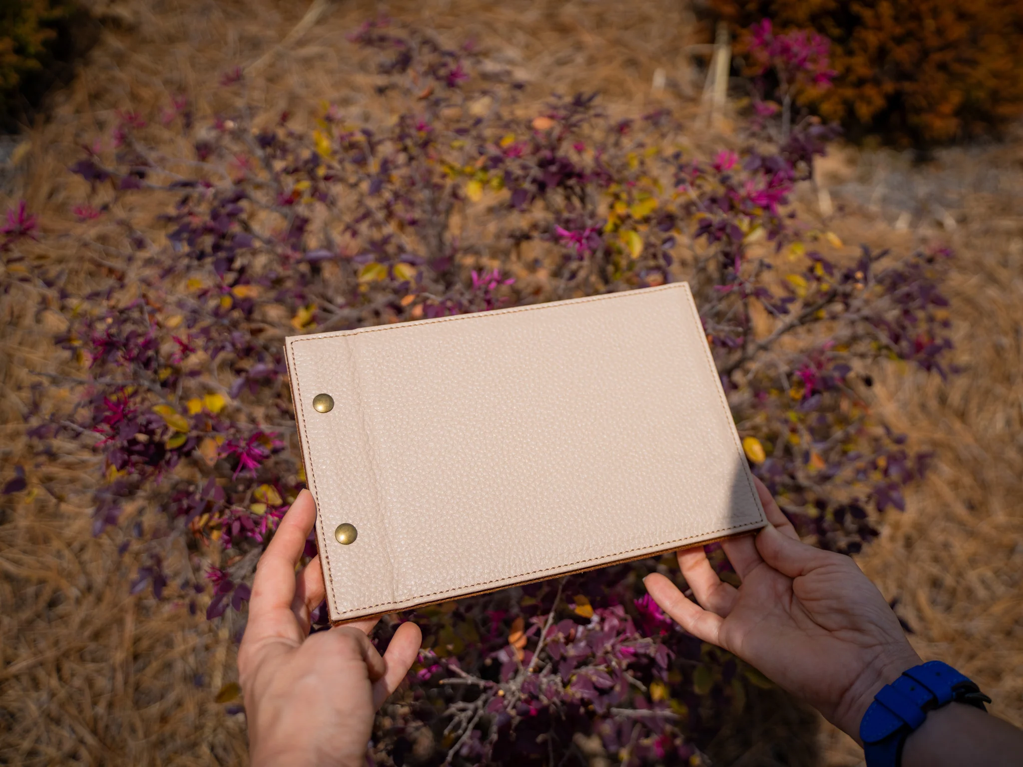 Italian Leather Menu with Chicago Screws Horizontal - Taupe - Image 3